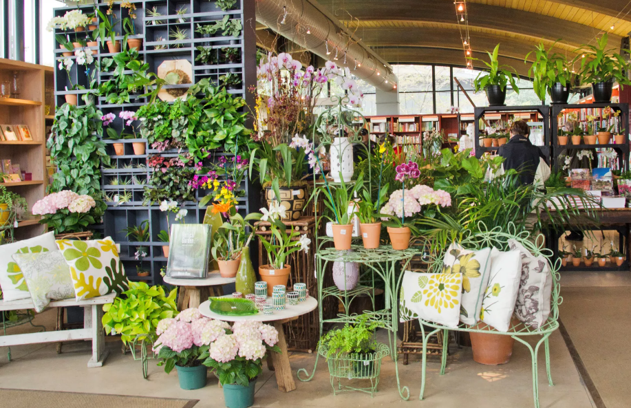 team staging plant arrangements