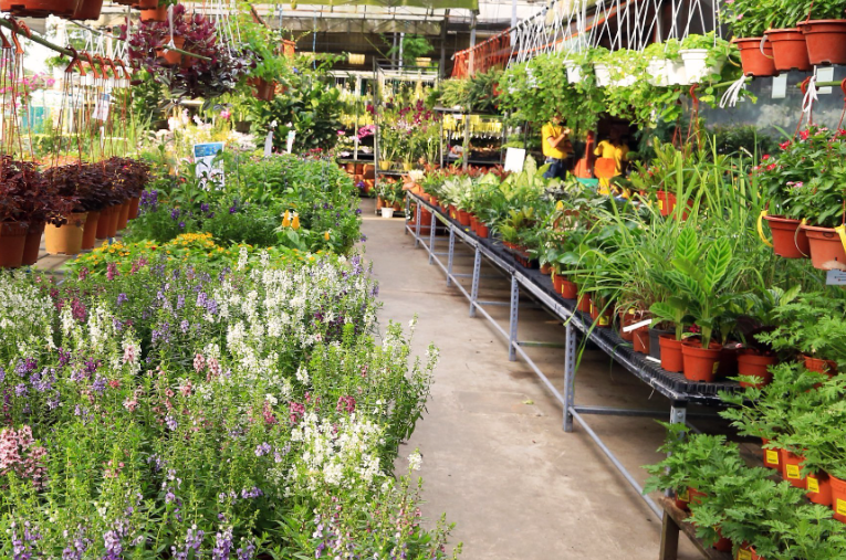 array of garden supplies and pots